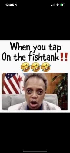 2704946C-230E-4755-8E1F-AE7802B4D613