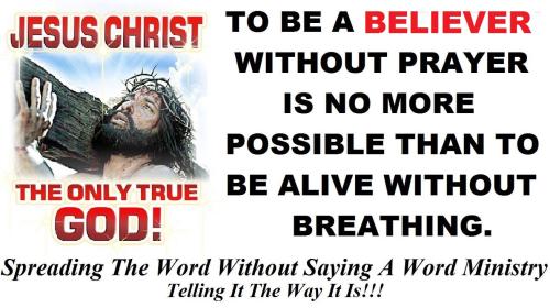 12898288_1023598794388918_7465905379998471008_o