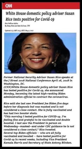 susann rice