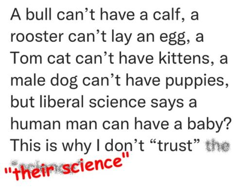 F6408C86-9209-4F3D-9276-62B42217A5FD