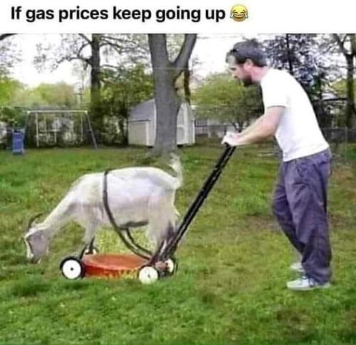 284767337_683377262956729_2725884873683320988_n