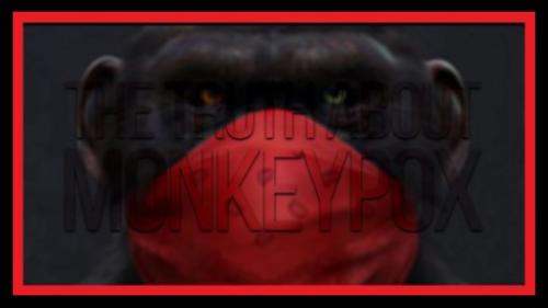 photo_2022-05-26_02-13-18