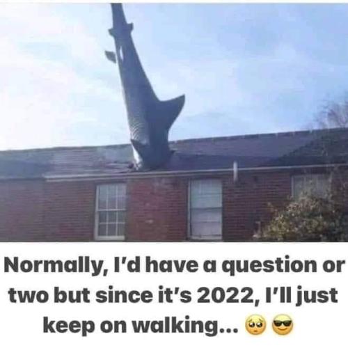 282020263_10228190570016359_3000408497170085882_n