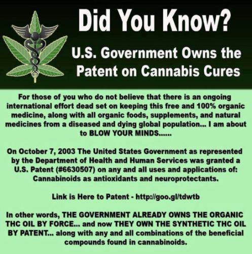 own the patent on THC