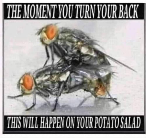 FB_IMG_1654006776869