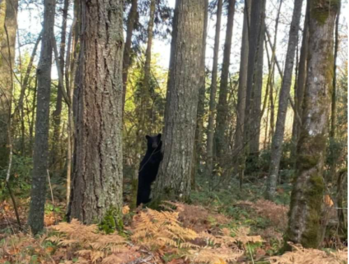 Screenshot_2022-05-17-01-32-50_kindlephoto-279786242