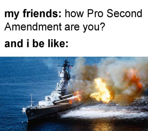 how pro second amendment are you