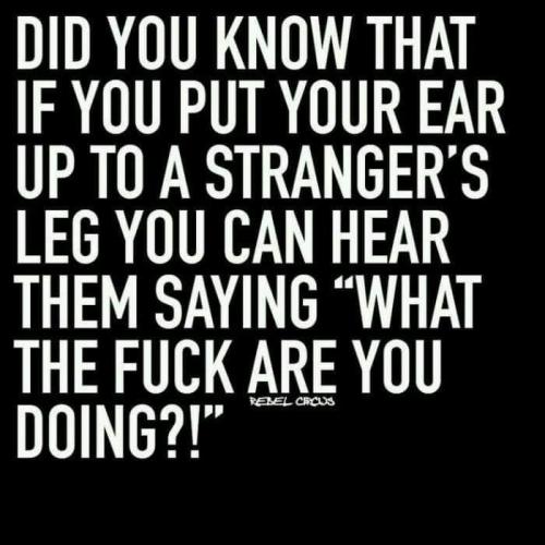 FB_IMG_1653427743190