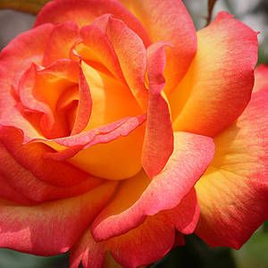 20:36:04 GMT-0500 (CDT)