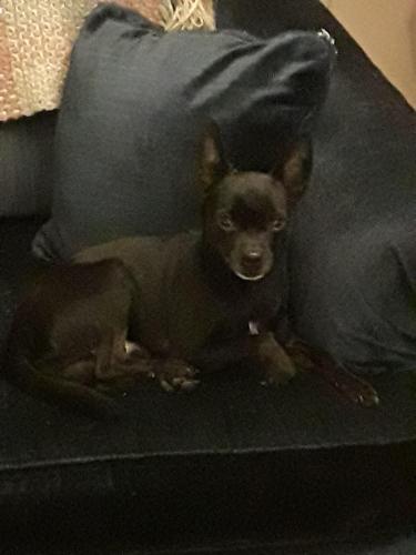 13:23:27 GMT-0400 (EDT)