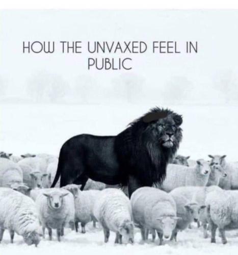 daa2c6ea-29fa-4848-9718-81c8c485355a