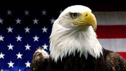 96543bf9-f936-4f8a-9a1c-79391cf5bcfa