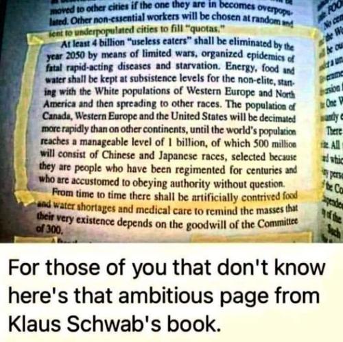 klaus schwab03