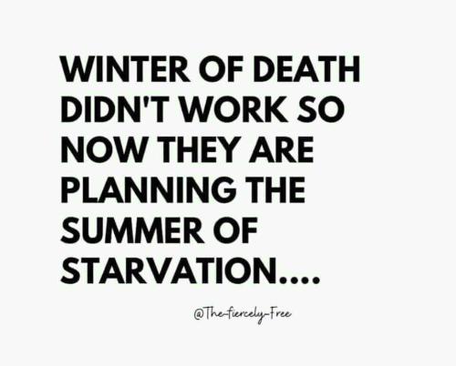 e267fd59-1eb6-4394-b195-744b3a476d24