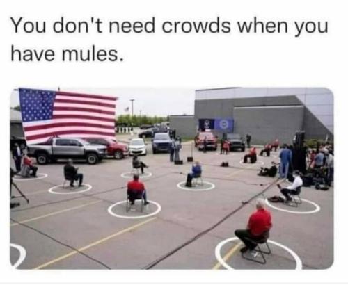 5136f0ce-074a-471f-86d8-00eacb531d3e