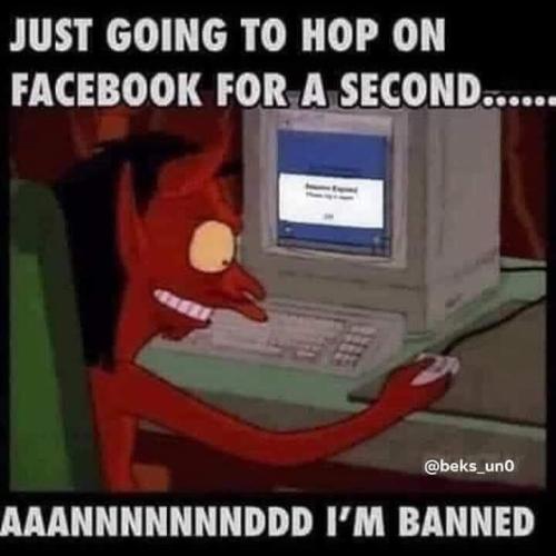 FB_IMG_1653687629703