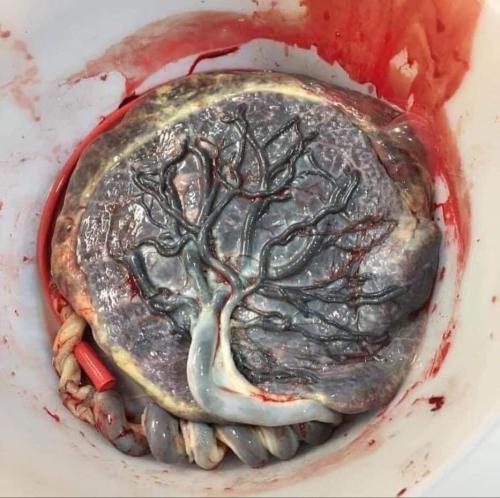 15BC871A-0FFE-4A1D-B465-86BD6A227BF2-95074-0000194F0C394521