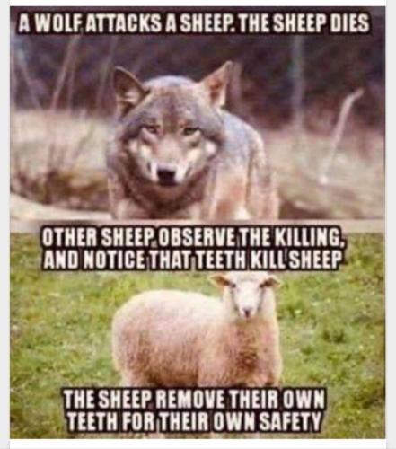 b71c0b7c-a93a-48bc-966d-2b0722358c73