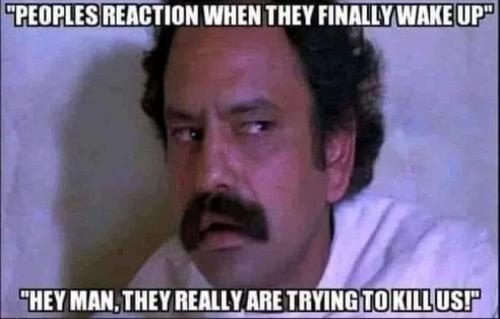 FB_IMG_1653575625036
