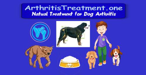 ArthritisTreatment.one - Treatment for Arthritis in Dogs