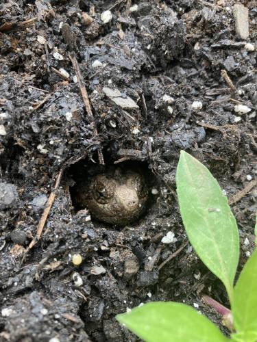 22:19:17 GMT-0400 (EDT).image