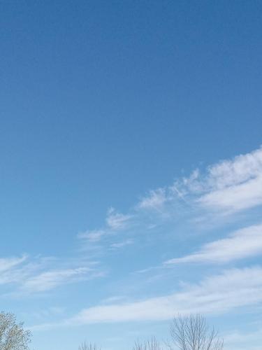 e5ccef93-1c26-45d2-887f-d56e0fa84c0e