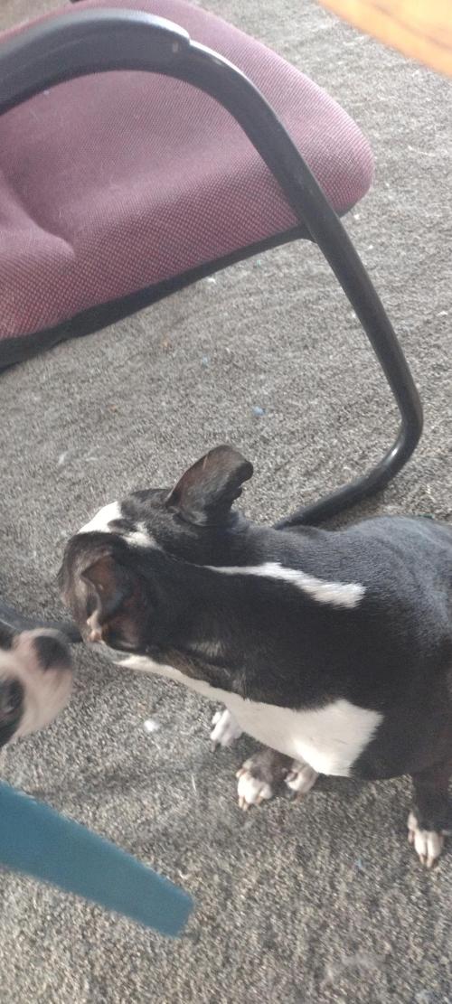 48deacce-d9c6-4480-94d1-b8a751a01e5b