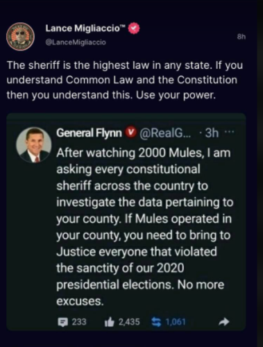 Election Sheriff 1