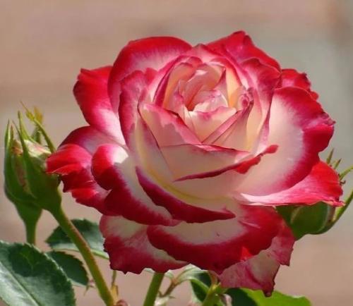 19:23:19 GMT-0500 (CDT)