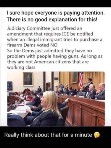 dems, no on guns