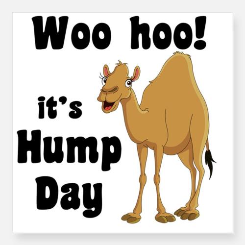 Woo-Hoo-Its-Hump-Day-Picture