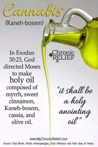 cancer oil bible