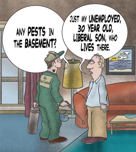 liberals293