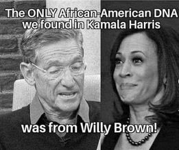 Maury DNA Teas on Harris