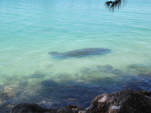 2efa738a-5f8e-47b6-bfb0-c608dc981872