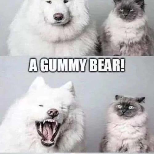 36afb027-13ac-4f47-b409-df97396356f1