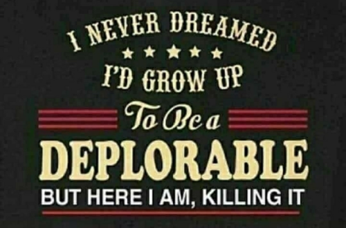 deplorable and killing it