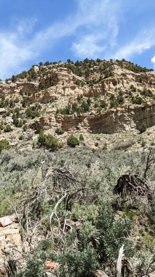 8b5f0934-32bf-4428-a526-fc5851669b26