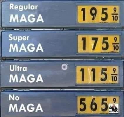 BED9E70F-871B-4E46-B3F1-B520A57D30E5