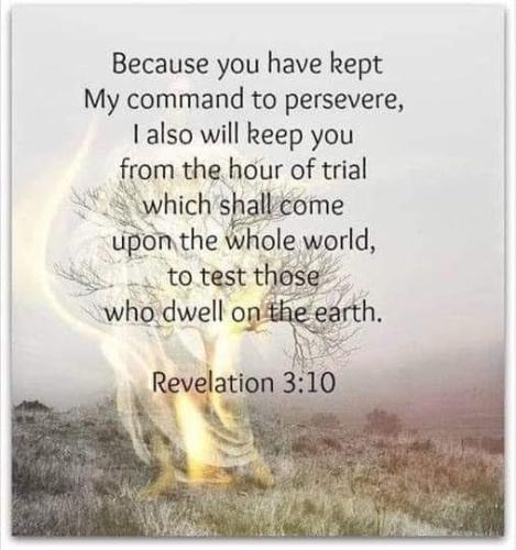 7f395ebf-86ad-4e96-a695-76da0e1c224a