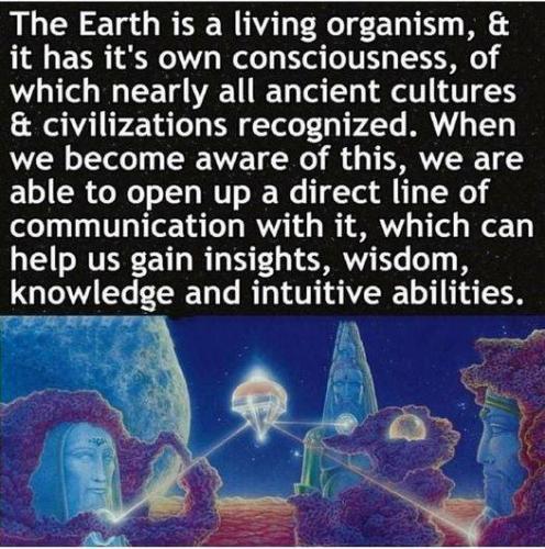 ,                                                                                                                                                                                                                          0 0