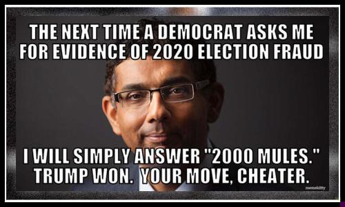 “2,000 Mules”             And, oh by the way, Trump Won‼️