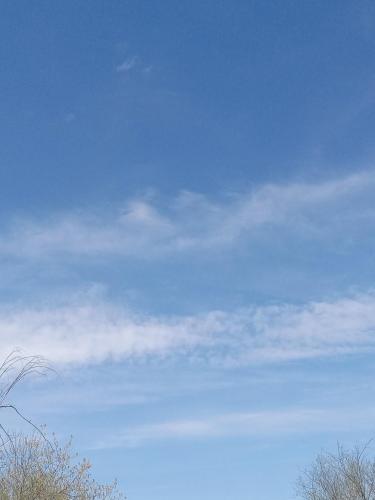 86e2f051-1a24-44e5-a731-a80e7b7aeb40