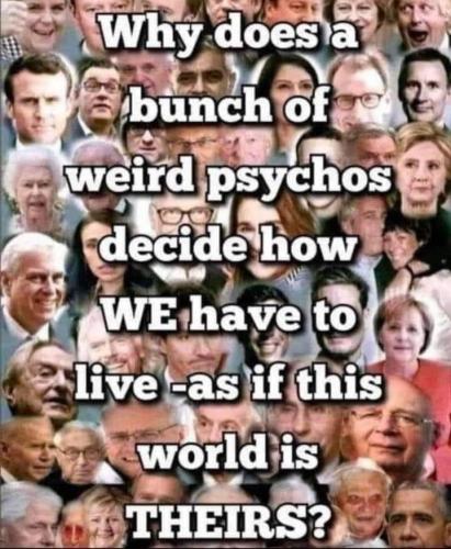 279308598_3218062185184781_5041759337380640913_n