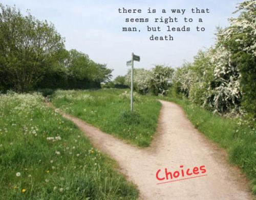 6fa6831b-7386-413c-b78c-6b4af16ca6e3