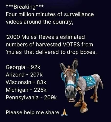 FB_IMG_1653506804507