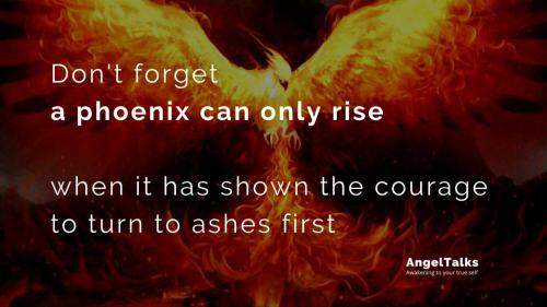 f9fc6698-b84b-4271-a80d-16cf7731ad9a