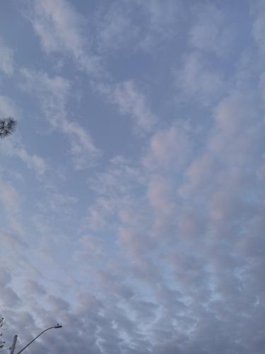 49240498-5ac1-41ff-95b9-ffd46e241982