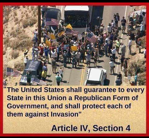 50914175_244949556419669_7640509728799326208_n