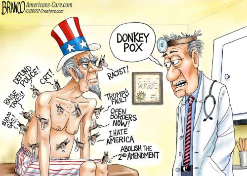 Branco_donkey_pox